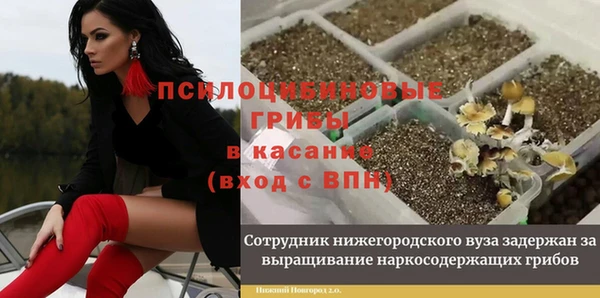 твердый Абаза