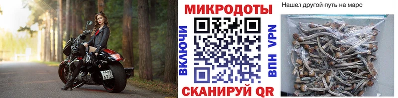 Псилоцибиновые грибы мухоморы  Невельск 